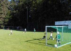 SV Buch NW Training
